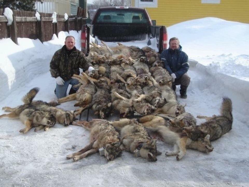 DarkyCed's tweet photo. Petit rappel 

Si vous achetez un manteau cet hiver, s'il vous plait, s'il vous plait, veillez à ce que ça ne soit pas un manteau de marque #CanadaGoose 🙏🙏🙏 https://t.co/UY41Vhxvez