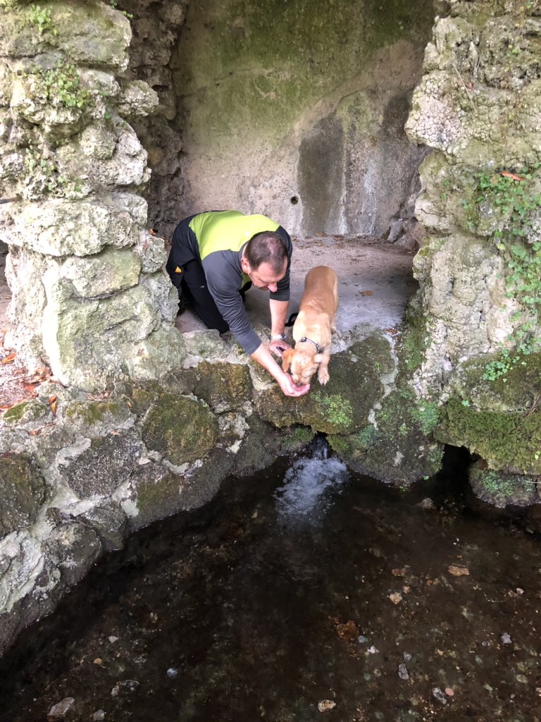 Karen Davies tweet media