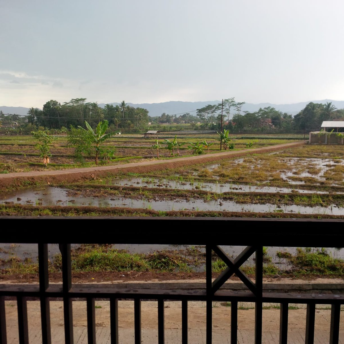 buna_syahlaa's tweet photo. Aku ingin tinggal di desa.
#kampung
#indahnyakampung
#desaku
#pedesaan
#indahnyahidupdidesa
#cianjur
#westjava
#explorewestjava
#indonesia https://t.co/WjuJ1F8u9Z