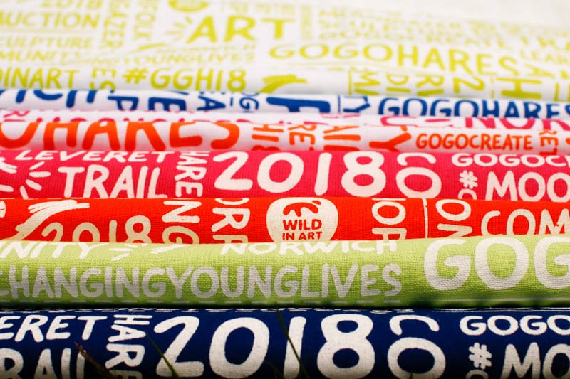 GoGoSafari tweet media