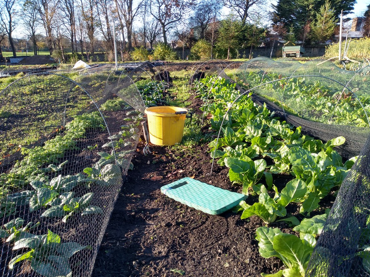 Edible Gardening On Twitter Beautiful Autumn Day Thebotanics