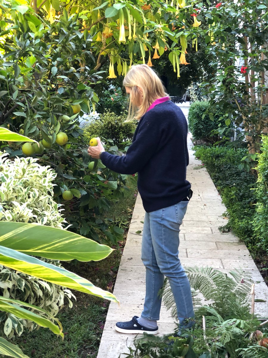 Her mevsim hayat dolu bir otel olmak kolay değil!
Sıra gülen yüzler ile bahçe bakımında 😉💪🌹🌻🌼🌷🌱🍀🍊

#hotel #kariaprincess #bodrum #halikarnas #kasım #bahçe #bakım #portakal #maymuntırmanmaz #garden #flower #çiçek #tbt #perşembe