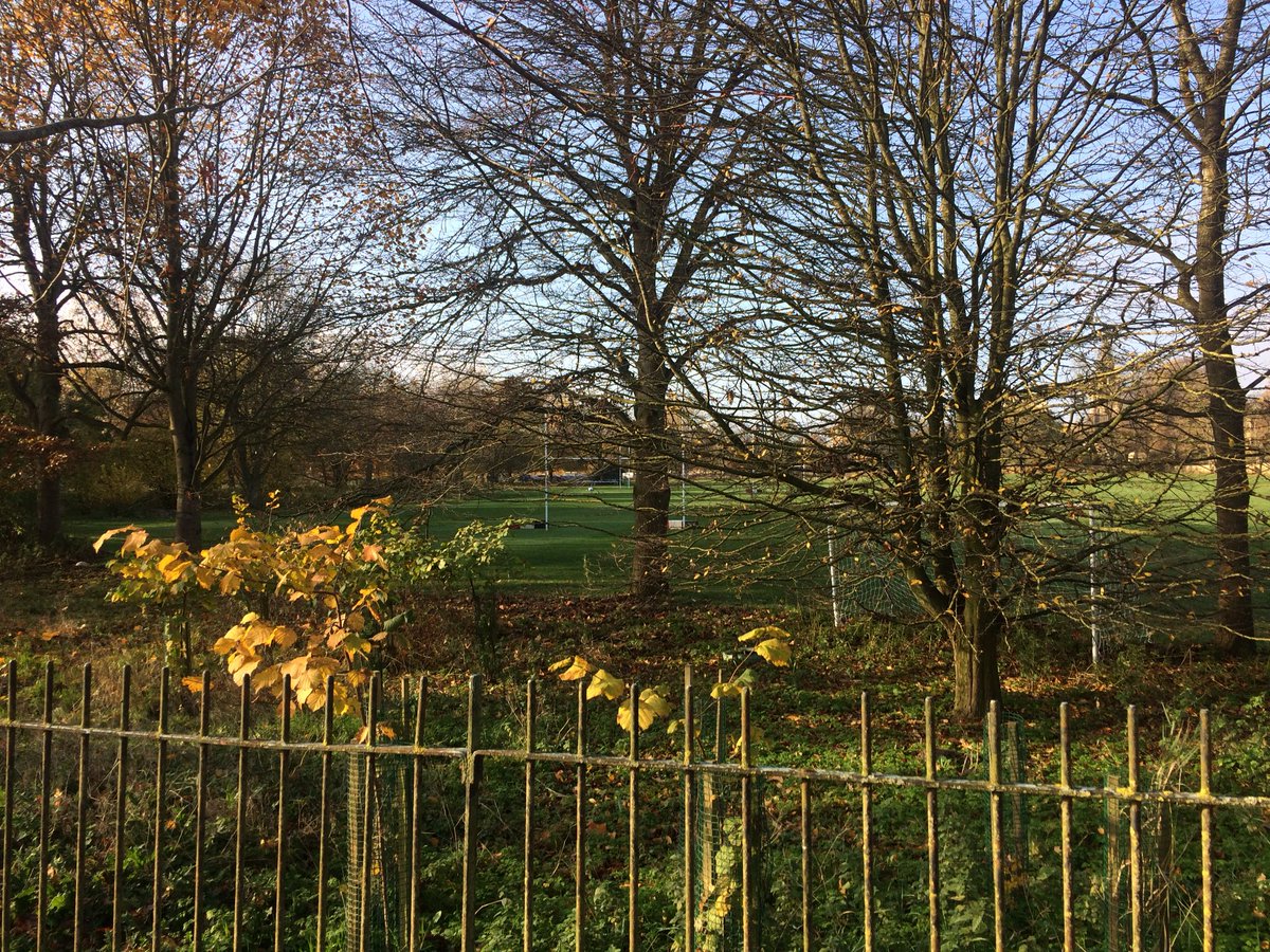 GetRid_GetRid's tweet photo. Listening to the sound of football not happening - clock tower strikes the quarter hour; shoes scuff the sandy track; nets are silent; idling engine; shouts of bearded man pushing a shopping trolley loaded with his possessions. #emptygoals https://t.co/Fv4fXQnpj9