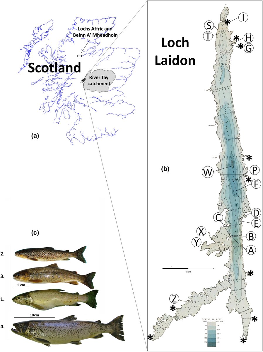 UHI Biodiversity & Freshwater Conservation tweet media
