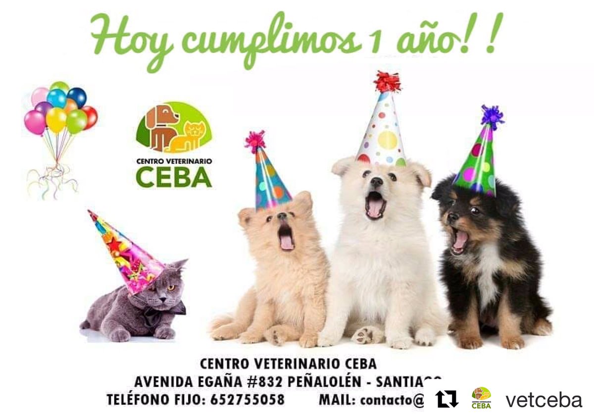 alonsoerick's tweet photo. 📣Hoy 15/11 Cumplimos nuestro 1er año🎂!!! Estamos muy felices y orgullosos de lo que hemos logrado.
Queremos agradecer a cada uno de ustedes que han sido parte de este lindo proceso!
Esperamos celebrar muchos más!!! 🐕🐈 #GoCeba #PrimerAño #CentroVeterinarioCeba #Veterinaria https://t.co/VY5kysNZsc