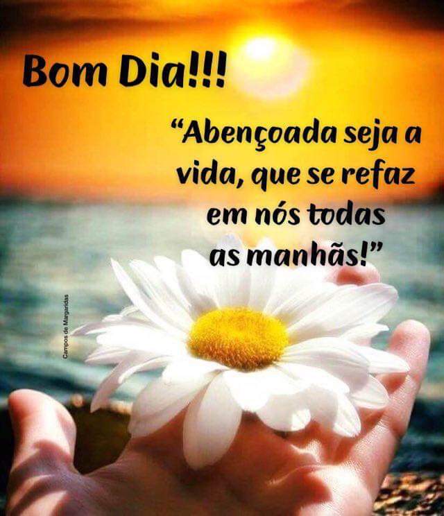 O fim ta próximo - FIM on Twitter: O fim ta próximo - FIM on Twitter:
