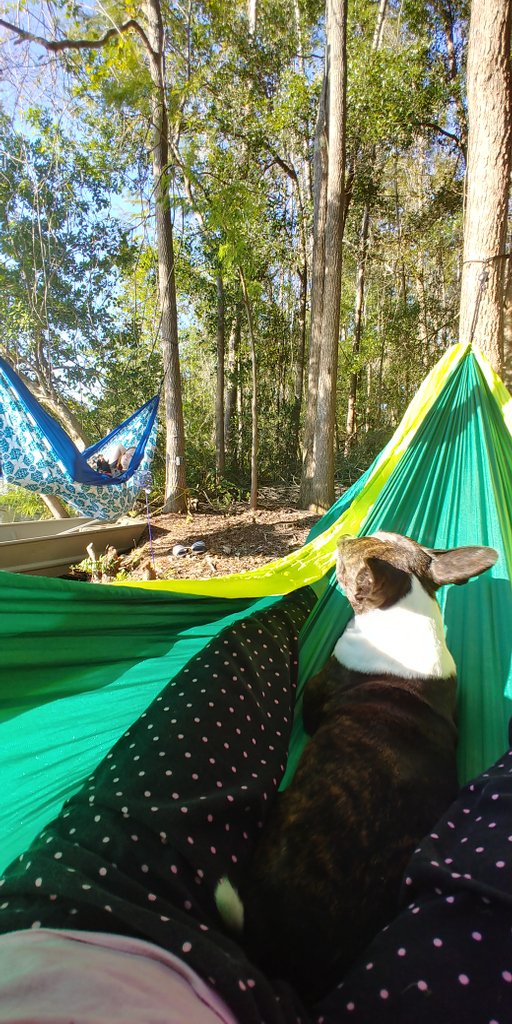 Hudson High InstaGram Gratitude Challenge
Follow along, snap a pic, write a blurb.

Use the hashtag #gratefulcobras  
Day 9: Thankful for Nature
We happen to live in some truly beautiful areas with a variety of landscapes; land and water.  Where do you  reconnect with nature?