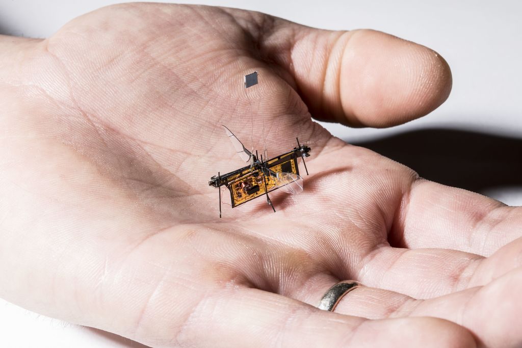 RobotShop's tweet image. About the weight of a toothpick, first wireless robo-insect takes off rb1.shop/2JDYQGJ @CNBC #RoboFly #InsectRobot
