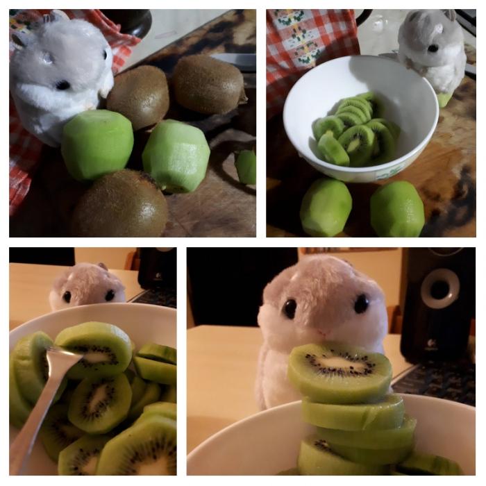 hexsa_hk's tweet image. Puffy's kiwi adventure
#plush #hamsterplush #plushadventure