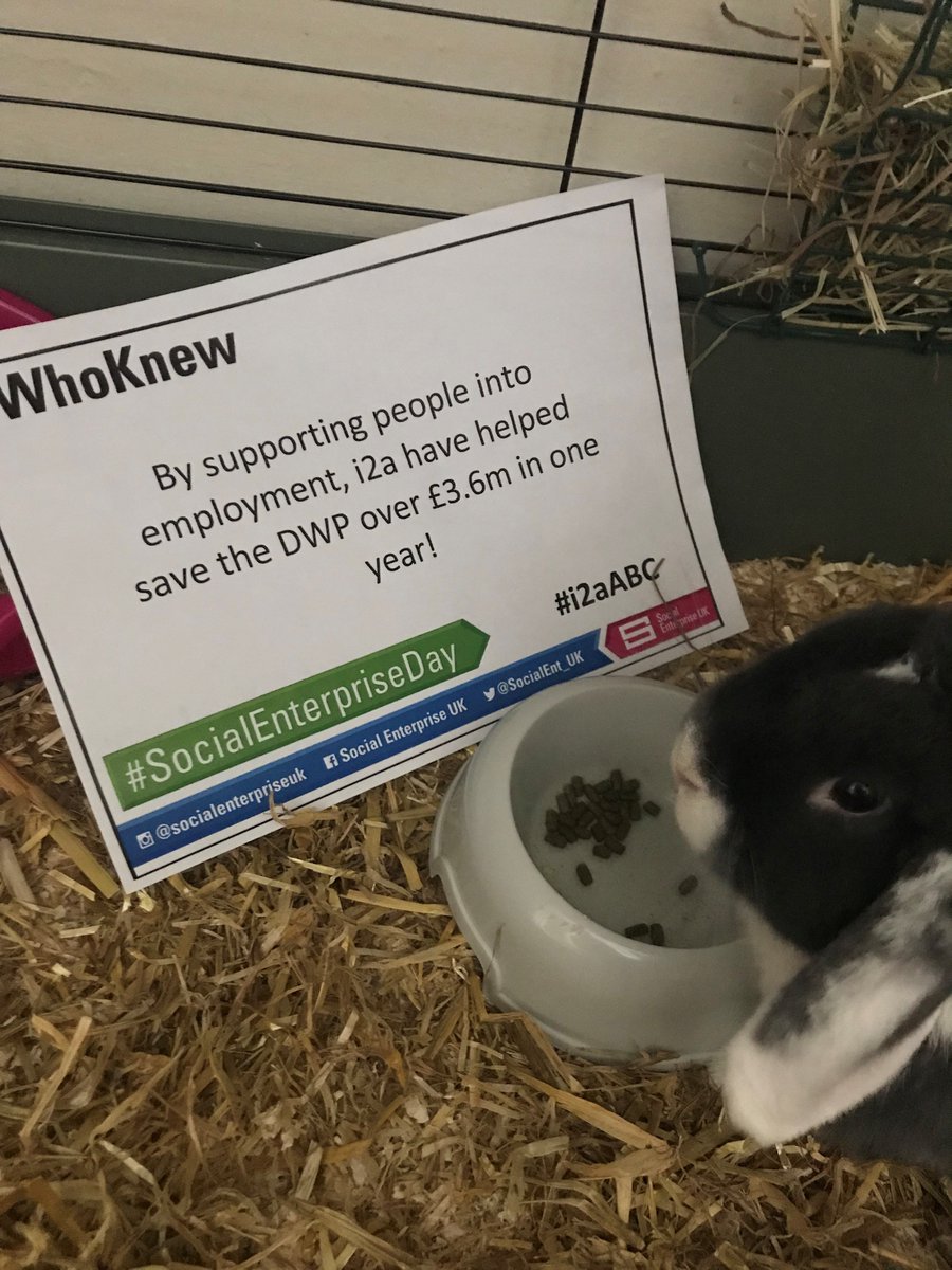 i2aguidance's tweet photo. Our work with people has helped the DWP save a 'Hare-raisingly' large amount of money!
#i2aABC #WhoKnew #SocialEnterpriseDay https://t.co/FlUebwBIQs