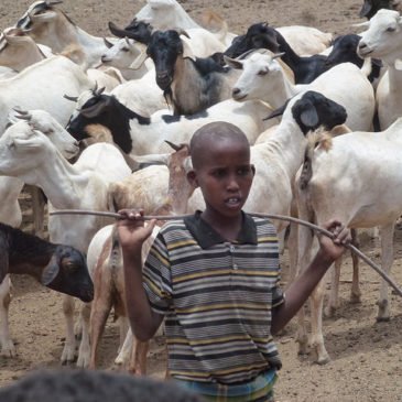 Climate and Development Knowledge Network (@cdknetwork) on Twitter photo Today at <a href="/PRISEclimate/">PRISEclimate</a> roundtable Camilla Nordheim Larsen <a href="/UNCCD/">UN Land and Drought</a> "Economic potential of #drylands is key to achieve many #SDGs, address #poverty, #foodsecurity, #migration. Dryland products eg fuelwood, fodder traditional medicines are undervalued in national economic statistics" Today at <a href="/PRISEclimate/">PRISEclimate</a> roundtable Camilla Nordheim Larsen <a href="/UNCCD/">UN Land and Drought</a> "Economic potential of #drylands is key to achieve many #SDGs, address #poverty, #foodsecurity, #migration. Dryland products eg fuelwood, fodder traditional medicines are undervalued in national economic statistics"