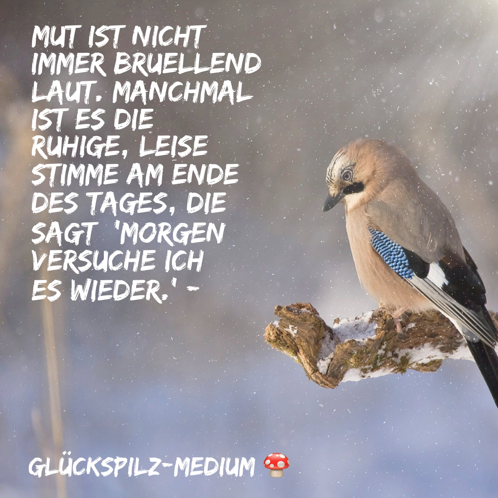 Get Mut ist nicht immer laut For Android Free Mut Ist Nicht Immer Laut