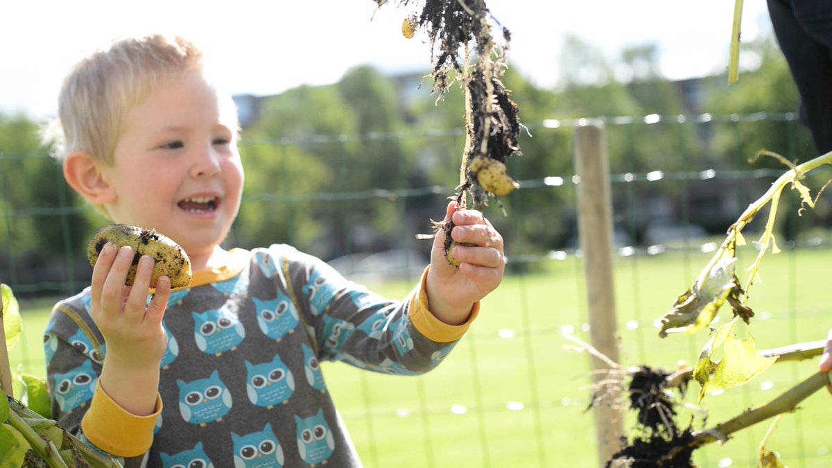 Op bijna de helft van onze locaties zijn peuters druk in moestuinen. Zaaien, verzorgen en oogsten... kinderen ontdekken en leren er enorm veel van! spelenderwijsutrecht.nl/moestuinen