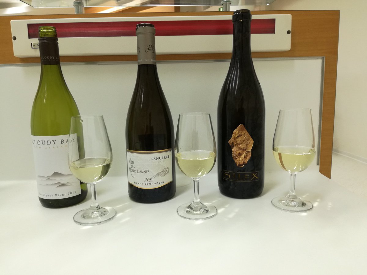Margot_MJBerger's tweet photo. Retour sur la Journée d'hier, dégustation magnifiquement orchestrée par Axel Marchal autour du Sauvignon et de la Syrah lors de la Journée des Doctorants 2018. #UnitéOenologie #EGFV #SAVE #ISVV #JDD2018 https://t.co/Et5n6eBiJI