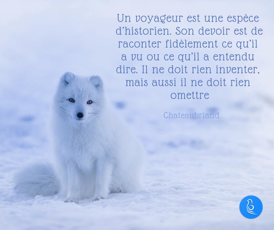 soyoutrip's tweet photo. C'est officiel ! C'est votre devoir d'embêter vos amis, vos proches à votre retour et de leur raconter fièrement toutes vos aventures ! Soyez fiers d'être des "little historians" 😉 
#citation #voyage #voicimonaventure https://t.co/AsrDFYVQn5