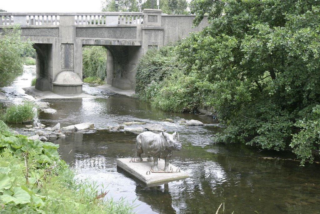 Dublin's most famous Rhino - Woody #oneofourown #dublinnature #rhino #dublin