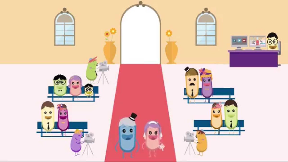 create some understanding #explainervideo #videoAnimation bit.ly/2z4GzO6