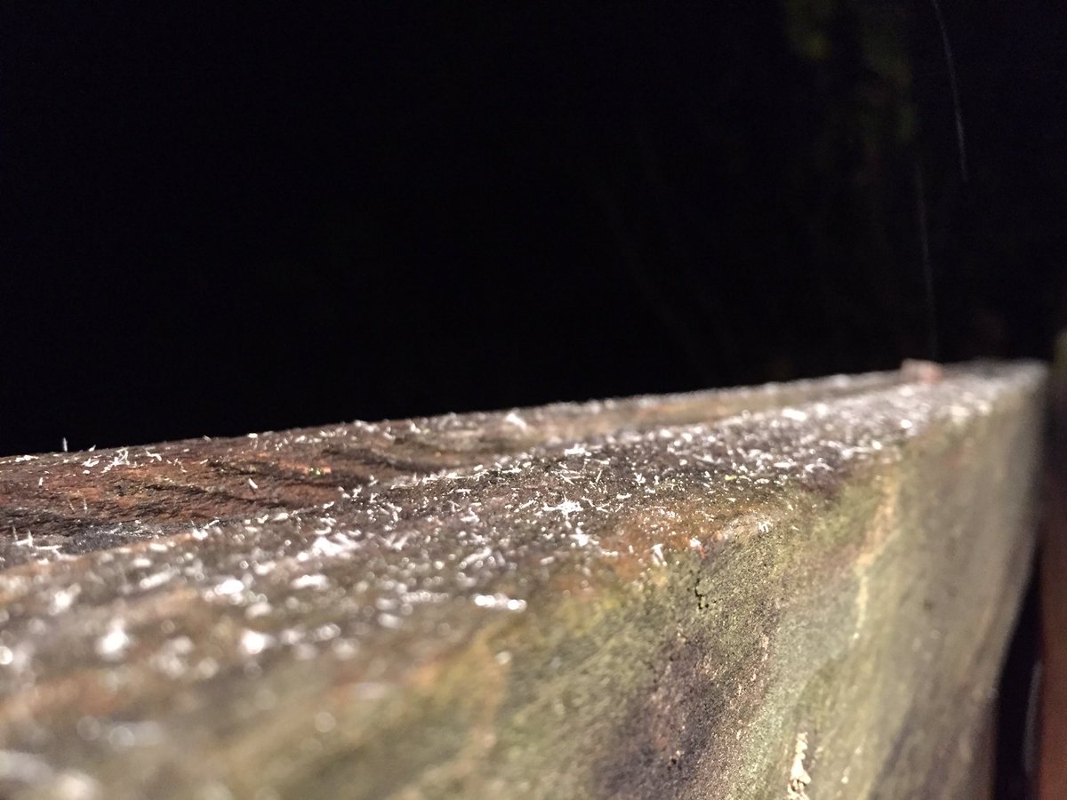 ashleybwx's tweet photo. So fun to see a tiny bit of snow so early, but the much bigger deal today is the cold! #alwx @spann https://t.co/FO1SjLH9PO