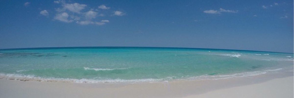 Get off the cruise ship and go here... #Cozumel #cozumeltweets #beaches