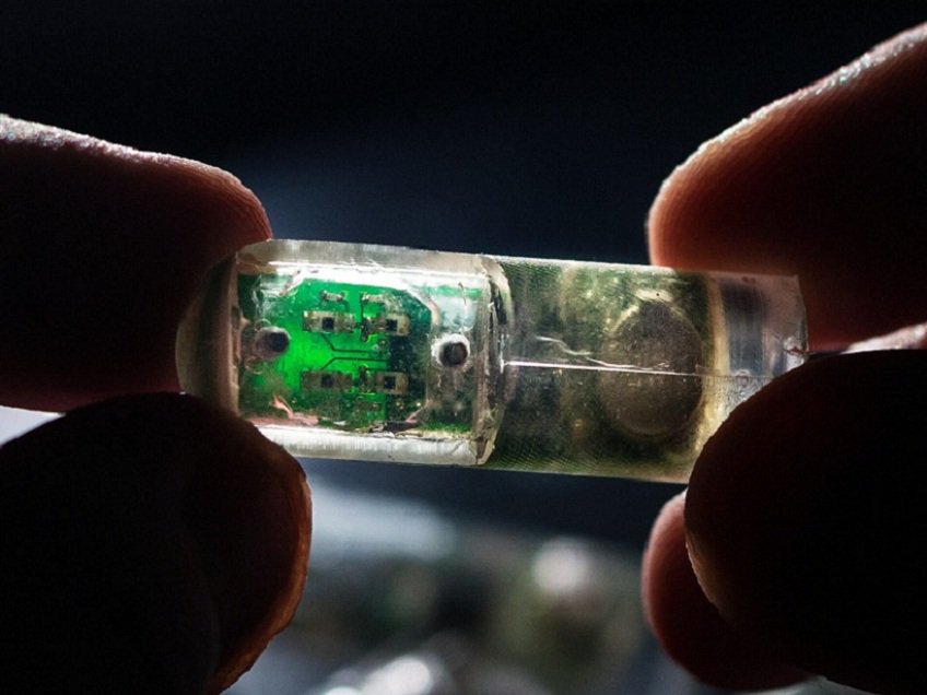 24marketreports's tweet photo. @24marketreports #IngestibleSensor Ingestible sensors is an innovative technologically advanced product of digital medical industry. 
@ https://t.co/PVK77FqPtT https://t.co/IHkDJoMz1A