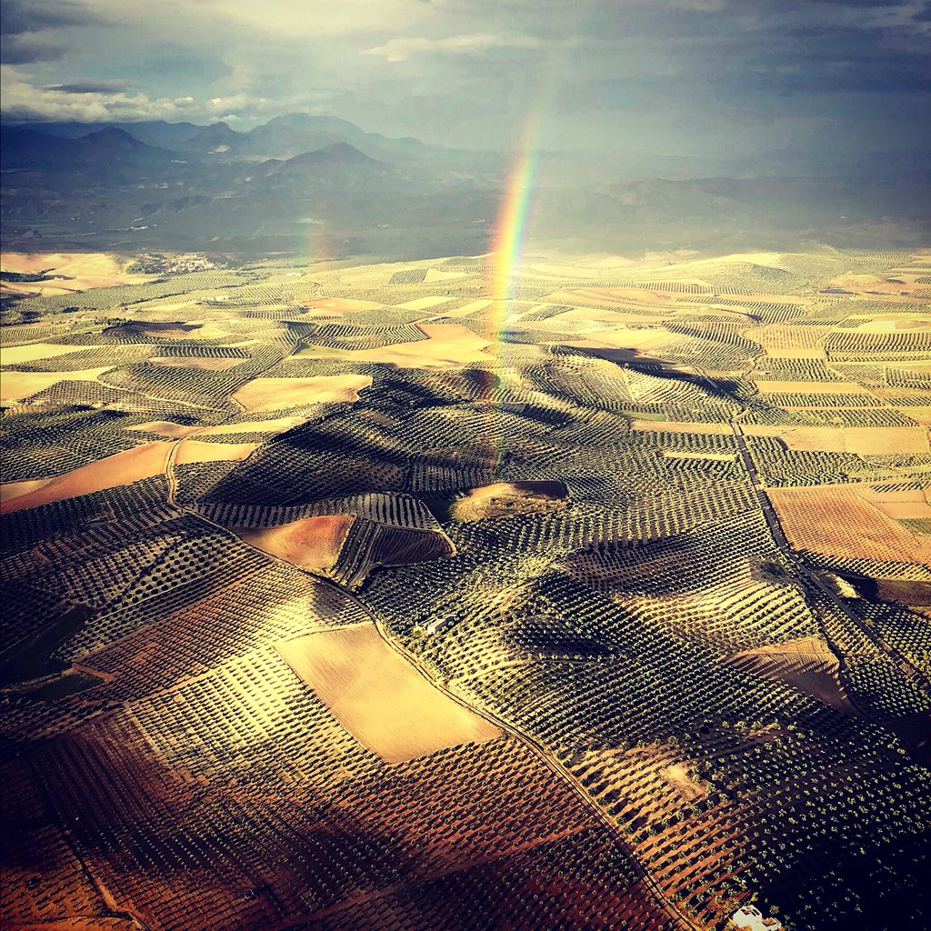 oliveoiltimes's tweet photo. 300 million olive trees -- Olive Oil Times writer Hannah Howard captured a rainbow yesterday from a balloon over Jaén, where the harvest has begun, for her forthcoming OOT series on the 2018 harvest season in Spain. https://t.co/Fa7ktG2Hls