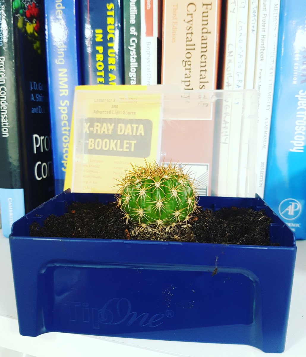 TheZwitterion's tweet photo. Thank you @StarlabUKLtd for my tip themed cactus! π΅ science themed freebies are always the best!
#Cactus #succulent #freebies #sciencefreebie #science #science #structuralbiology #biophd #phdchat #lifeofascientist https://t.co/m9pKsiLEAL