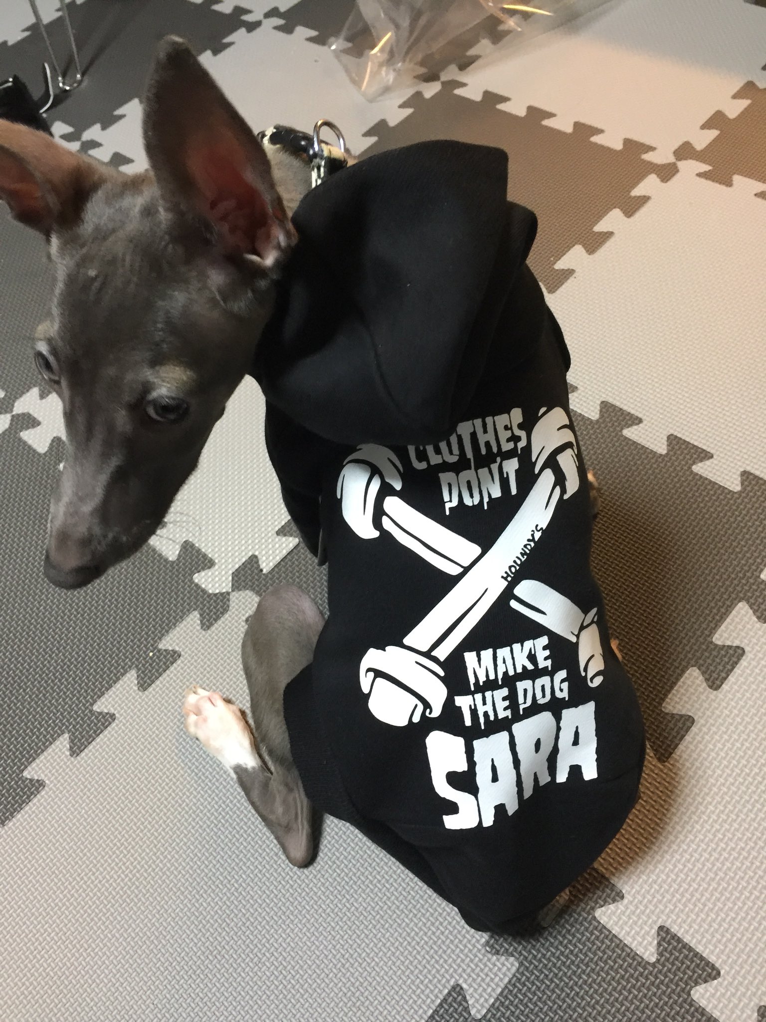 だって犬だもの Twitter Search Twitter