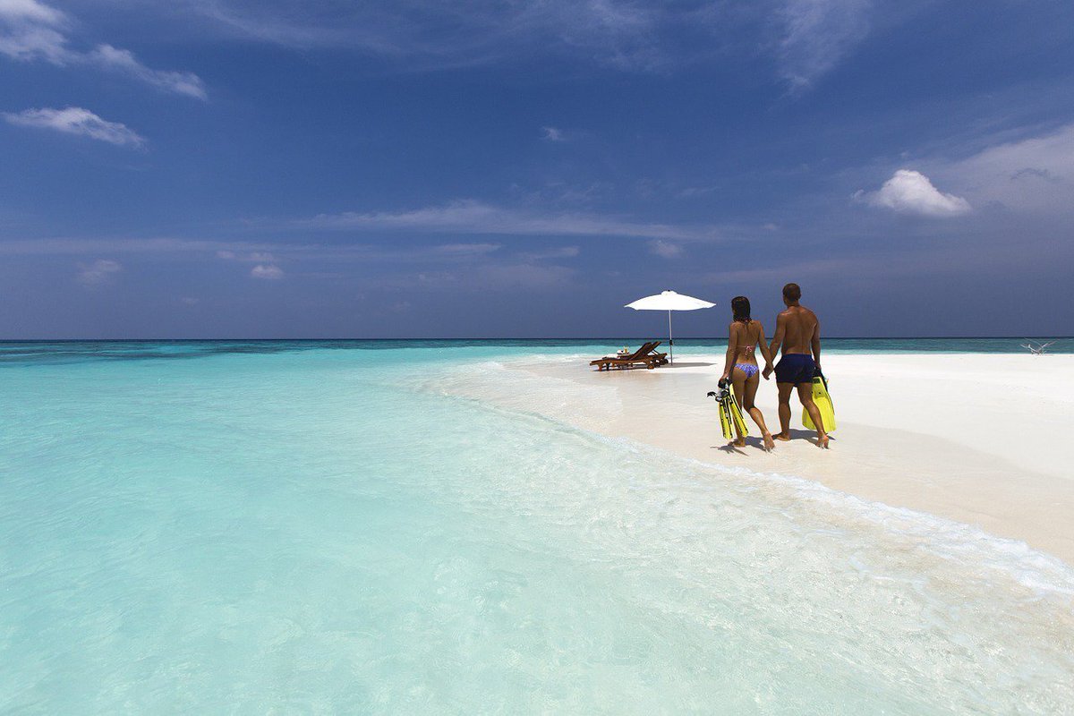 courtiervoyages's tweet photo. Qu'on se le dise : un #voyagedenoces c'est le #voyage d'une vie ! Sur #YREN' si les #destinations demandées sont aux 4 coins du #monde...un critère reste important "finir sur une #plage de rêve" ! Oui mais laquelle ? 😎
#zanzibar #indonesie #Seychelles #mozambique #YREN' #plages https://t.co/sLMMavKcgo