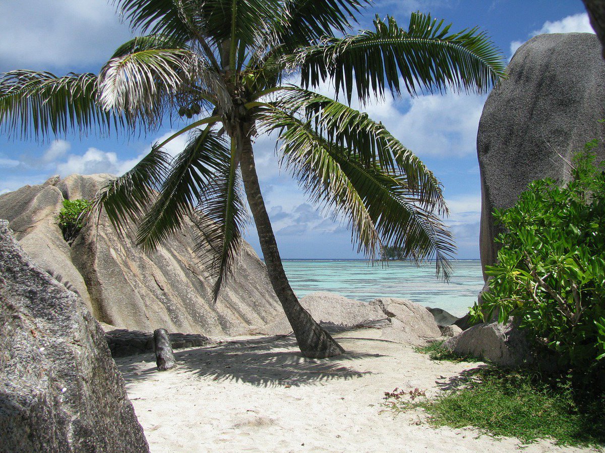 courtiervoyages's tweet photo. Qu'on se le dise : un #voyagedenoces c'est le #voyage d'une vie ! Sur #YREN' si les #destinations demandées sont aux 4 coins du #monde...un critère reste important "finir sur une #plage de rêve" ! Oui mais laquelle ? 😎
#zanzibar #indonesie #Seychelles #mozambique #YREN' #plages https://t.co/sLMMavKcgo
