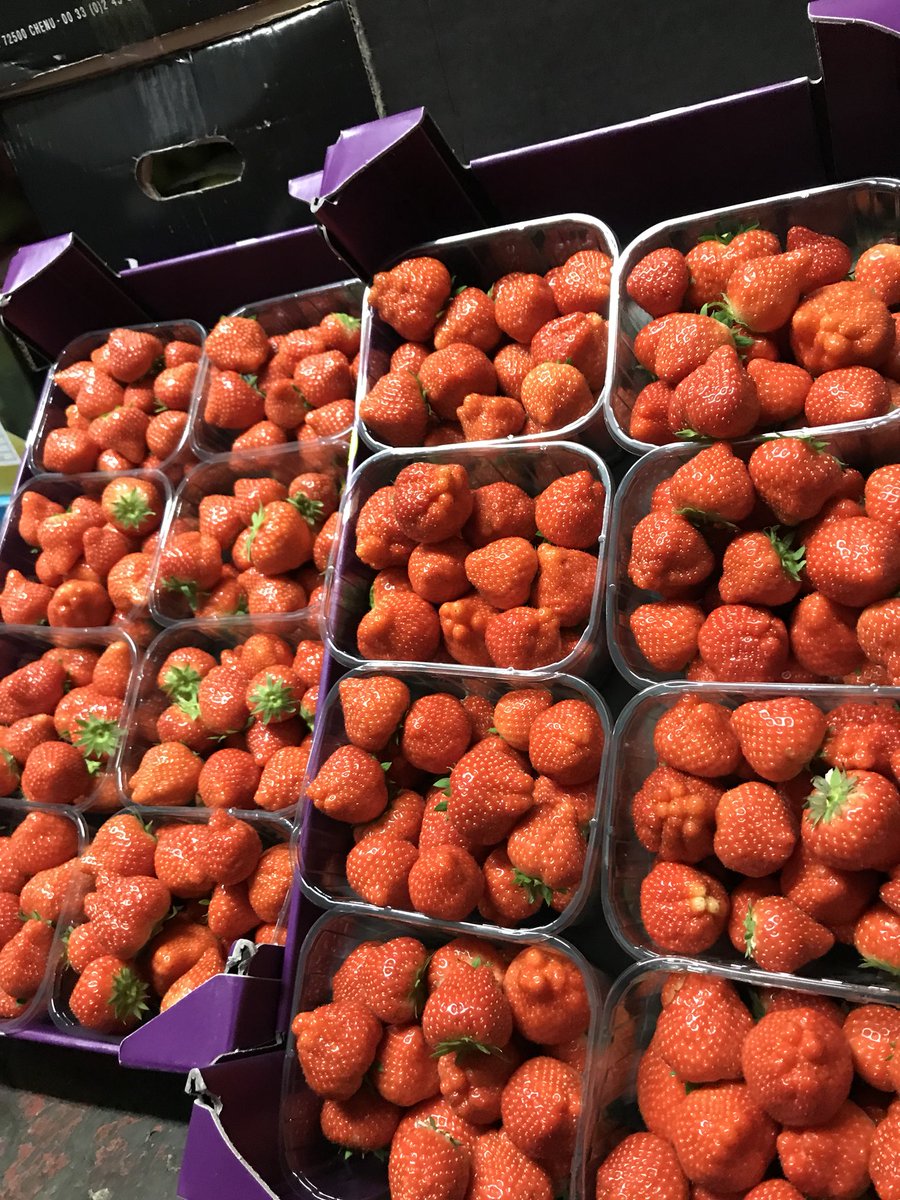 LimeKing3's tweet photo. Fresh strawberries after arriving #limeking https://t.co/CWmhsIF1tY