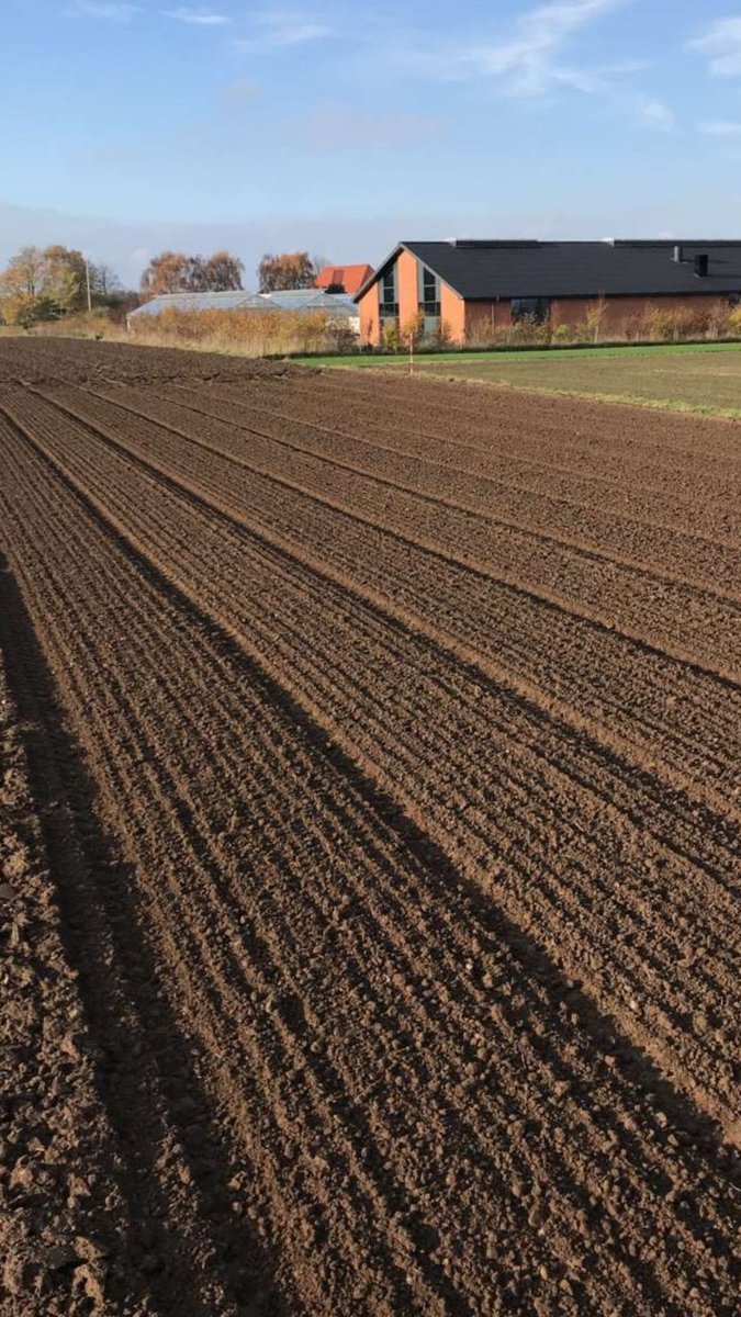 Following the new trend of autumn drilled spring wheat, we have put in our first trial <a href="/PlantBreedFarm/">PlantBreedFarm</a>.

#Plantbreeding #EmbracingNature #plantbreedfarm #springwheat #autumndrilledspringwheat