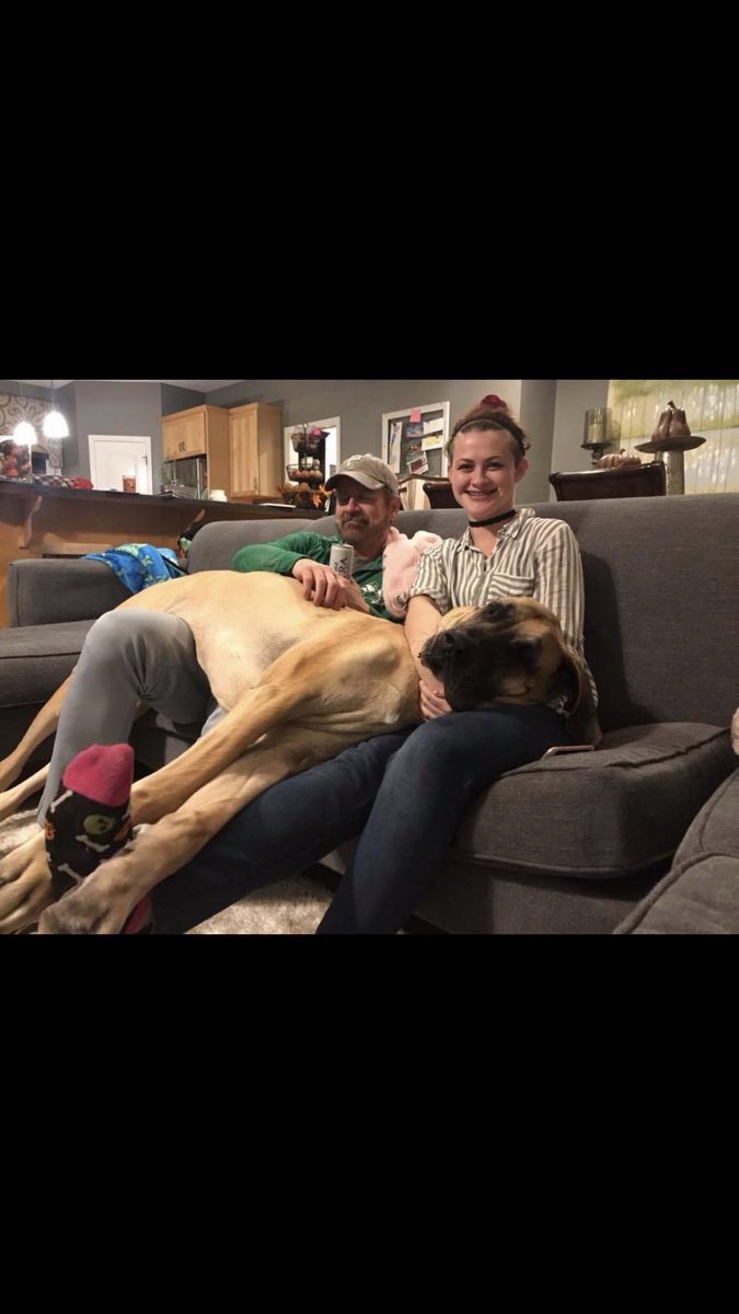 Miss this big goof