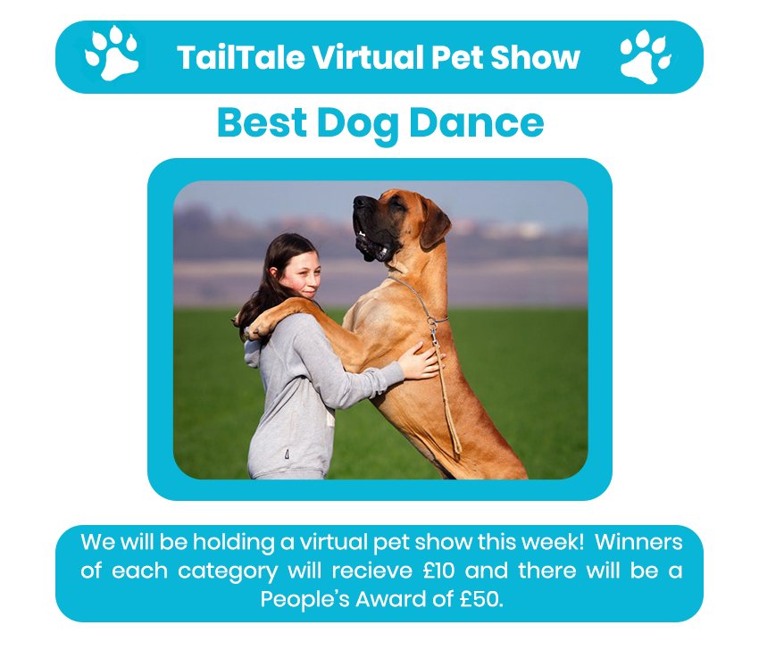 Tailtale_tech's tweet photo. VIRTUAL PET SHOW: BEST DOG DANCE 
Can your #dog to amazing spins, hop ups to music?  Enter by downloading the #TailTale app and posting their pictures with the relevant category. Multiple entries are welcome but close Weds 21 Nov. #Winners announced on the 28th. https://t.co/0rW34C1zoh