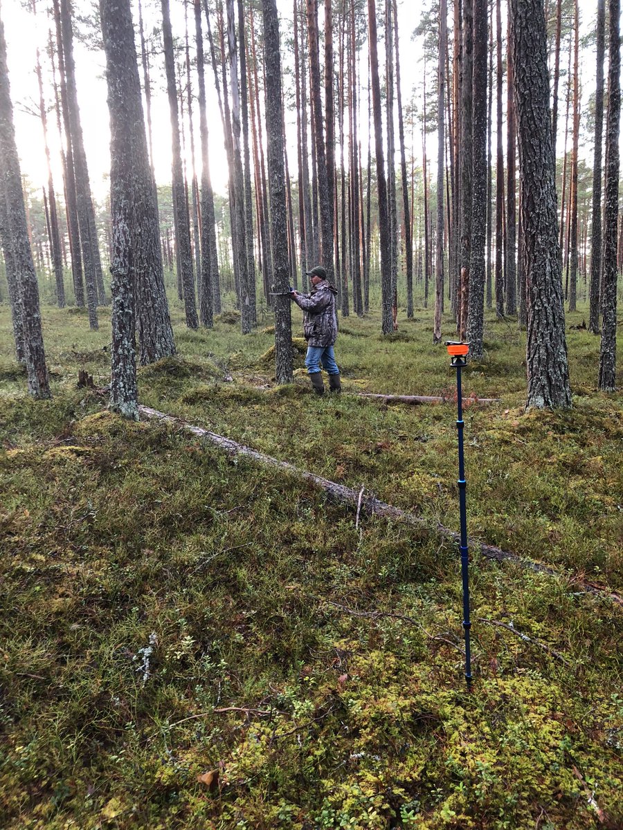 Haglofsweden's tweet image. Say hello to our new sales manager at Haglof INC- Brigg Abercrombie. Had a great time out in the forest this morning with the sun on our shoulders. #DPII #VLGEO #VertexIV #Forestry