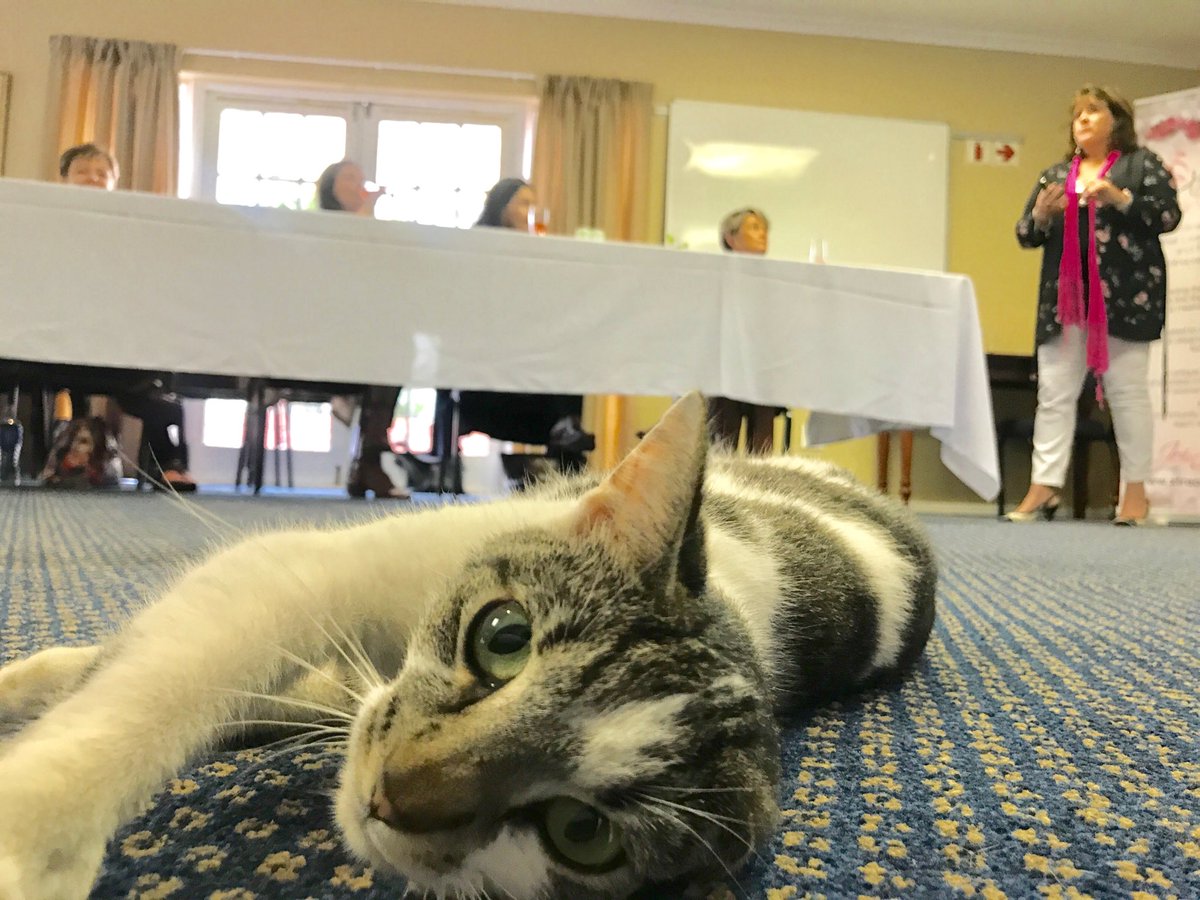 SarkaSvoboda's tweet photo. A surprise delegate this morning... @barbara_stander, I noticed that she didn't wear a name badge #networking101 #XWDV https://t.co/aDgl8OIlWC