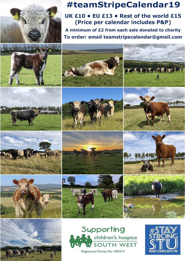 newlandfarm's tweet photo. 🏴🏴🏴🇬🇧🇺🇸🇩🇪🇮🇪 #CowCalendars spreading across the World https://t.co/9CIyBqz29l