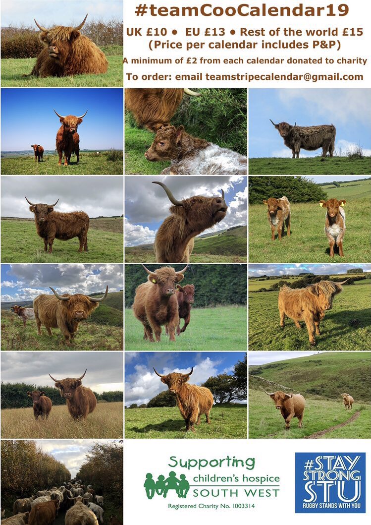 newlandfarm's tweet photo. 🏴🏴🏴🇬🇧🇺🇸🇩🇪🇮🇪 #CowCalendars spreading across the World https://t.co/9CIyBqz29l