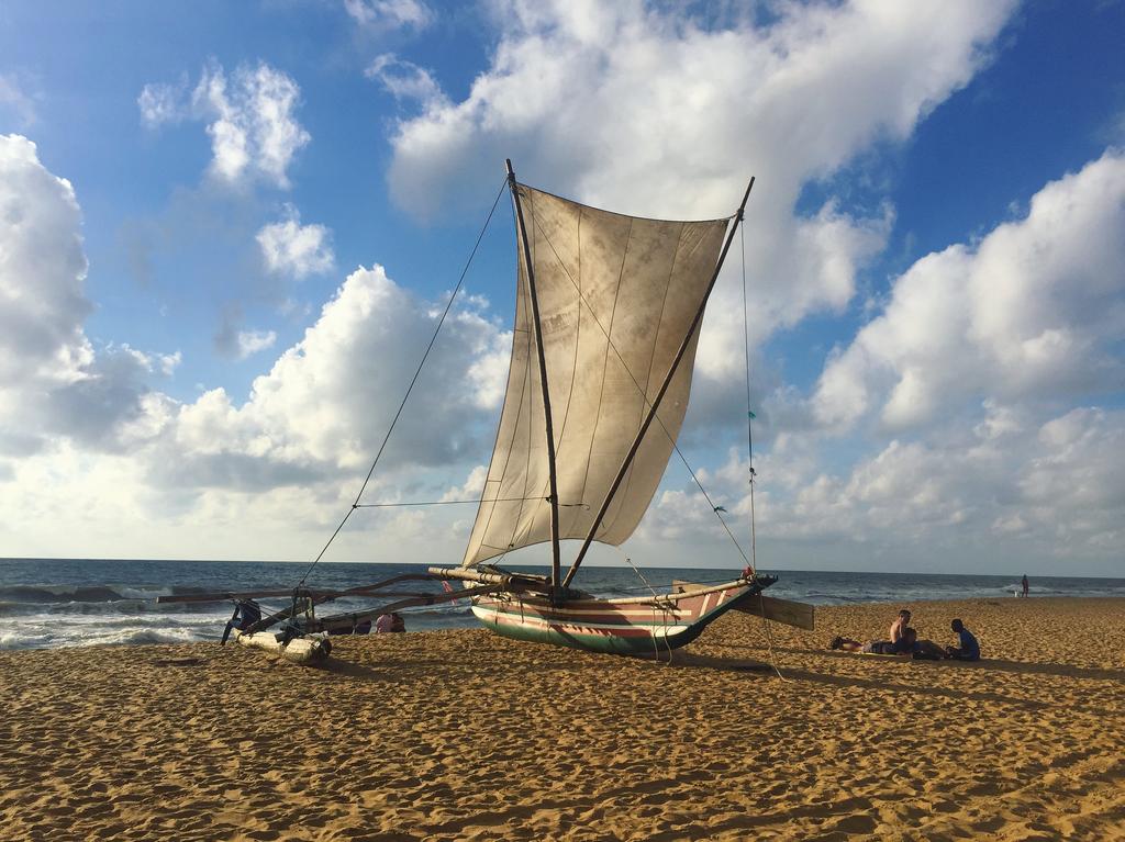 Changyo_Lanka's tweet photo. Beauty of Sri Lanka 。 。 。 Wonder of Asia 。 。 。  #SriLanka #WorldHeritage #TravelTuesday #Asia  #luxury #travel #luxurytravel #srilanka #indianocean #holiday #blog #blogpost #travelblog #travelblogger https://t.co/vETCuvKikT