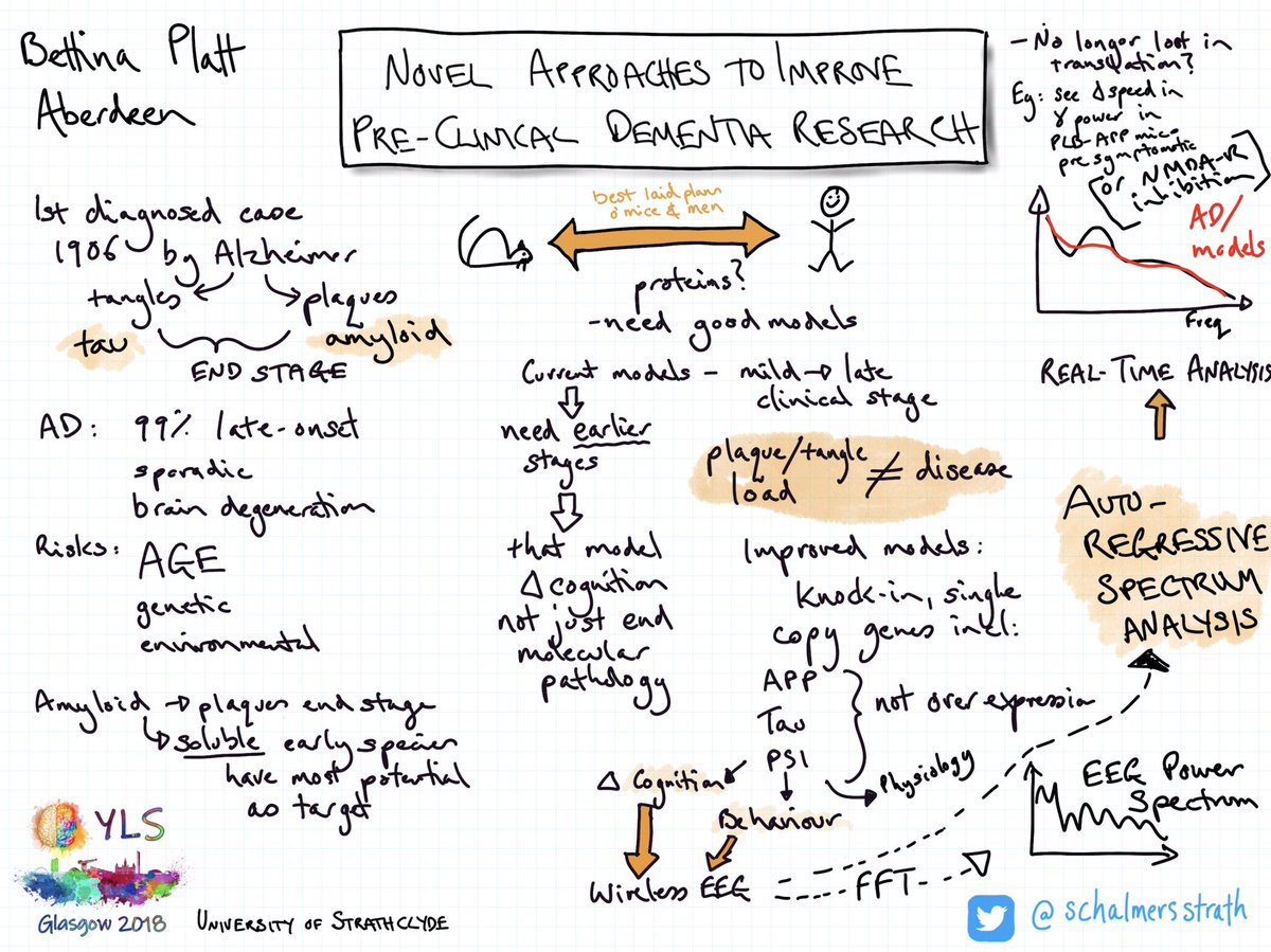 schalmersstrath's tweet photo. Great opening to @yls2018 from Prof Bettina Platt @aberdeenuni. 

@physoc @BiochemSoc @BritPharmSoc 
#sketchnote https://t.co/PrZgQJNX0z