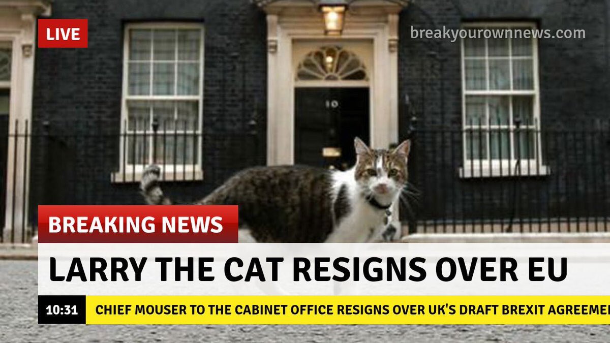 CharlesAnyan's tweet photo. This is the news I’ve been dreading 😫 #BrexitChaos https://t.co/MPaGGg5He1