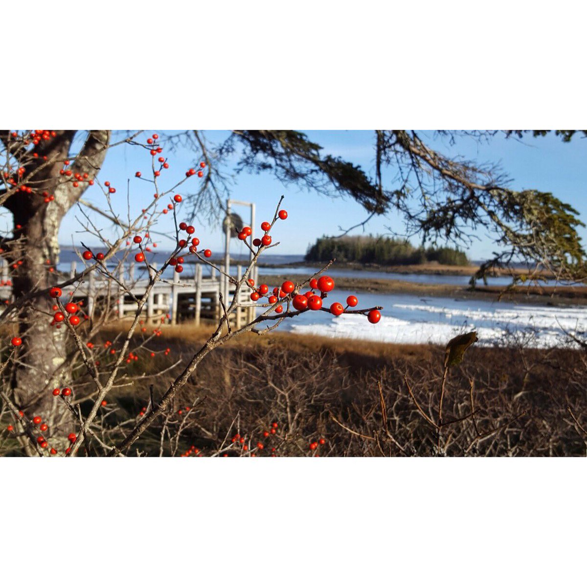 ArgyleRec's tweet photo. Beautiful view of @villageacadien!
Photo credit: Julie Anne Greene
#ExperienceArgyle #VillageAcadien #WalkingTrail #Recreation https://t.co/bq0AbXI4jU
