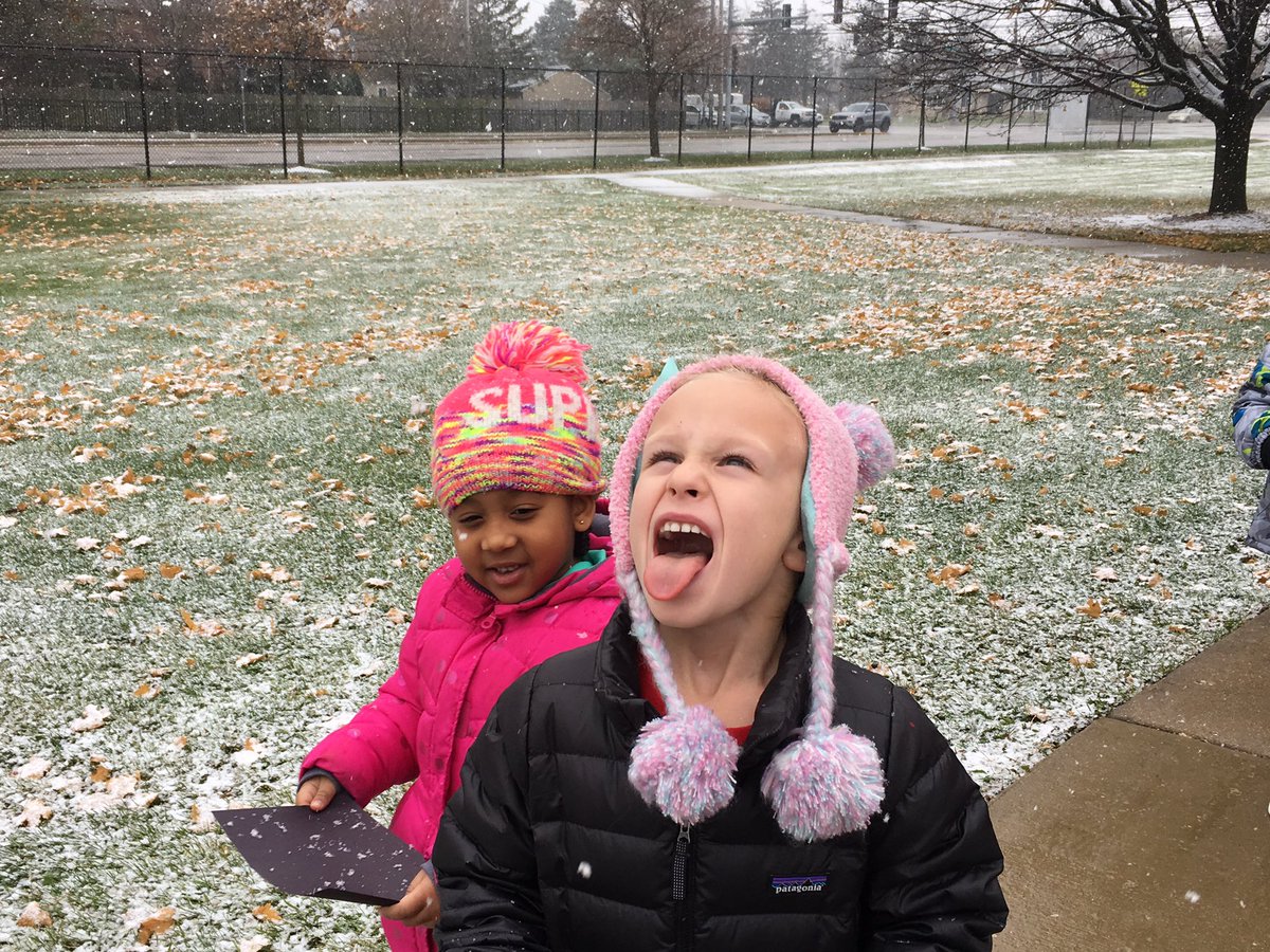 Lisa Sulak tweet media