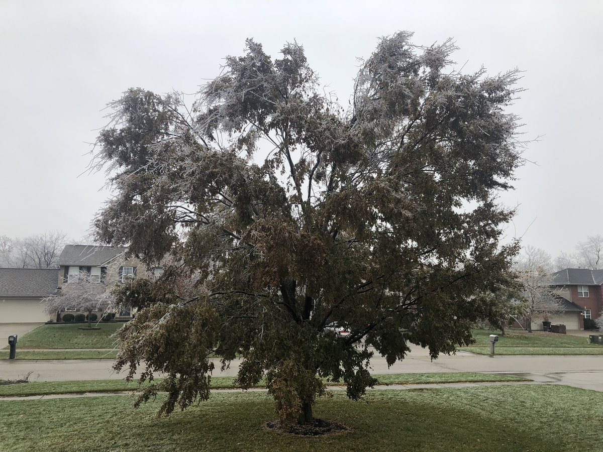 The ice in Cincinnati is impressive today.