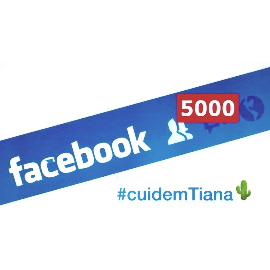#CuidemTiana 🌵 tweet media