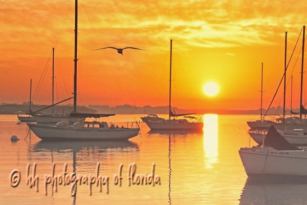 Peaceful Beginnings ... fineartamerica.com/featured/peace… #sunrise #colorfulsunrise #florida #wallart #homedecor #HHPhotographyofFlorida