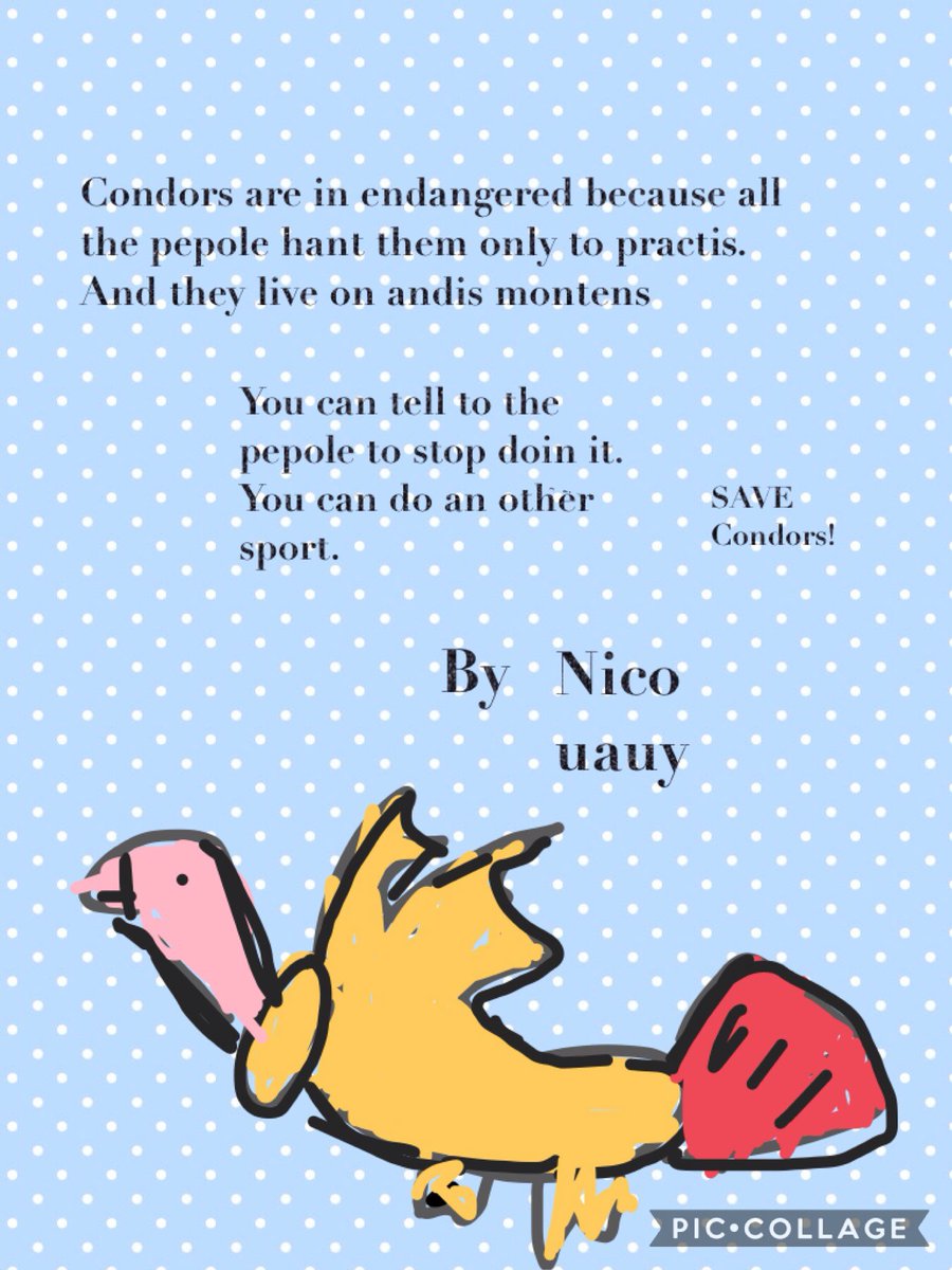 pestofbuda's tweet photo. There is a lesson to be learned here! Stop killing the Condors! 1st Grade Endangered Species Project #pypsharingtheplanet #LI #piccollage https://t.co/2jsq84M281