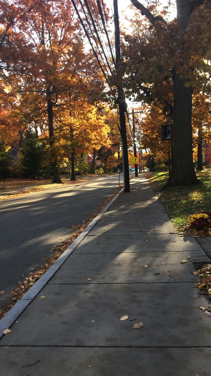 lasell_saa's tweet photo. The leaves of Lasell can't be matched! #lasellsaa #lasellcollege https://t.co/OgricQ1Jgd