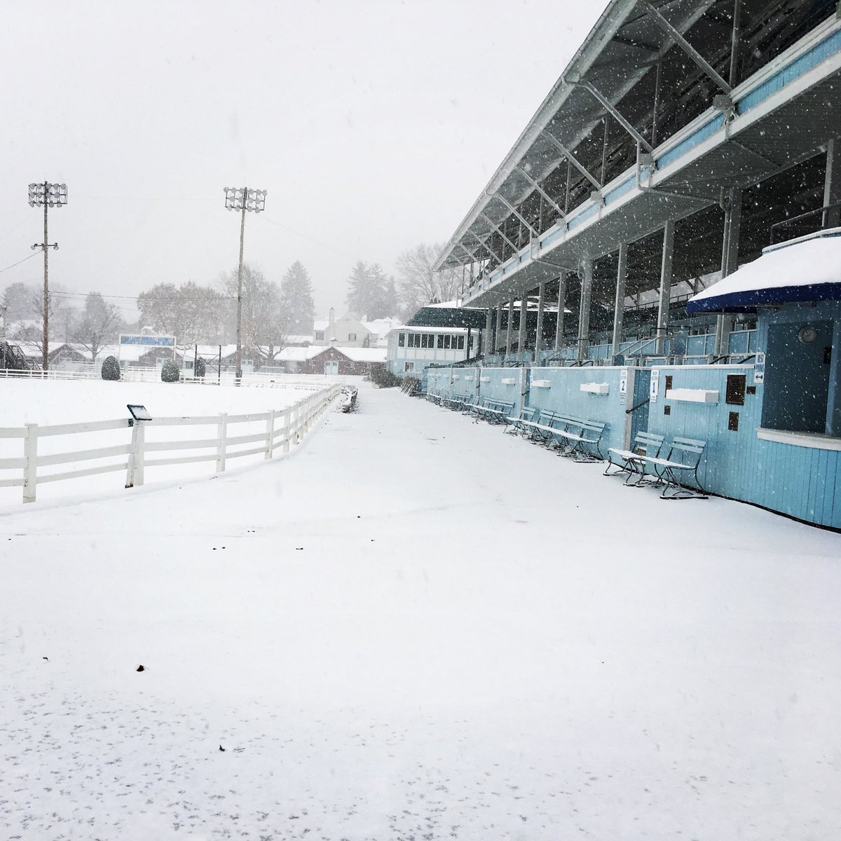 Devon Horse Show tweet media