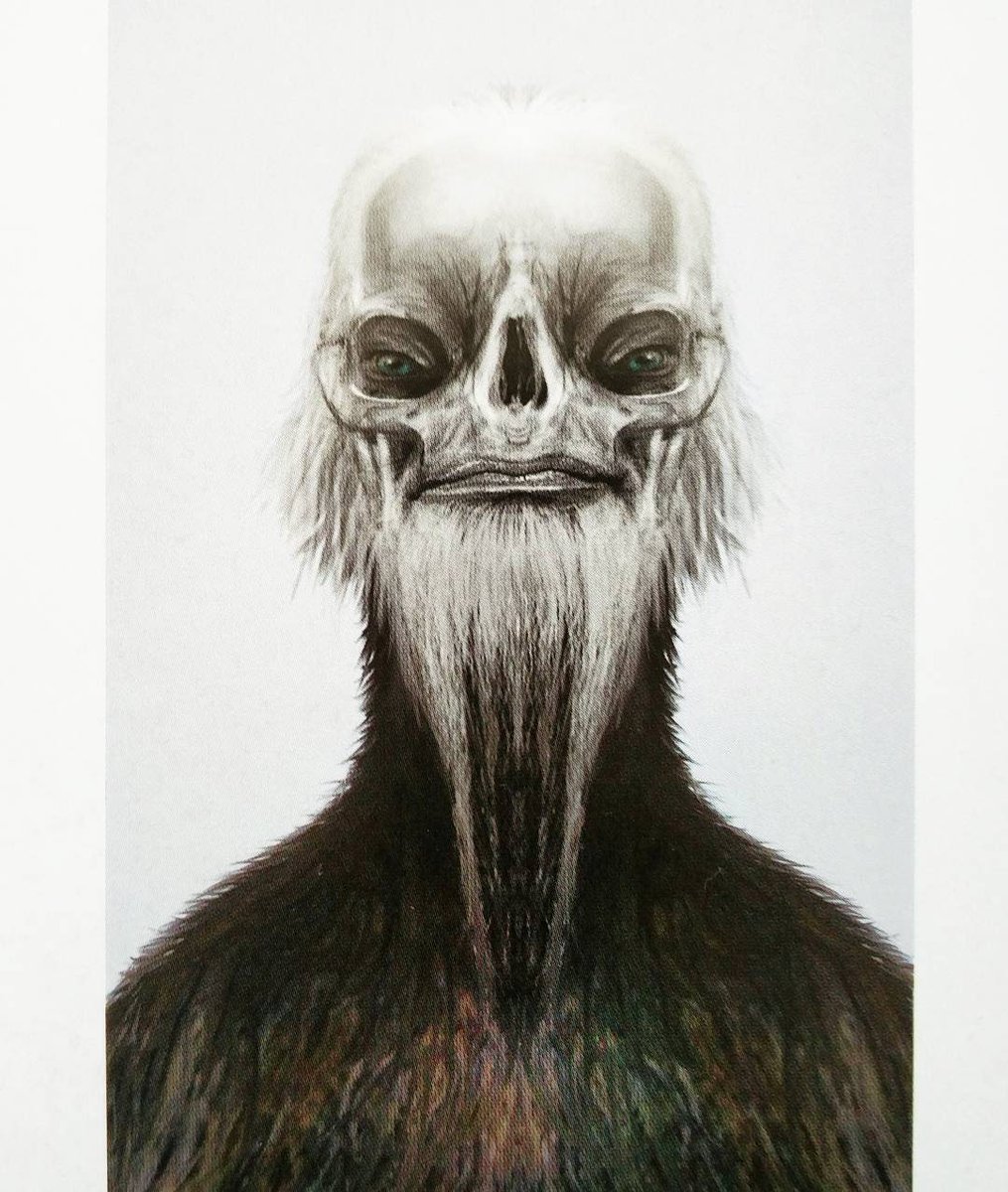 Whiphid's tweet photo. Spoiler warning!
So Jedha wasn't completely destroyed in #RogueOne, it's other hemisphere was still somewhat inhabitable. Also, at least Cycyed Ock and Kullbee Sperado survived the Death Star blast. All this cool stuff in #StarWars #SmugglersGuide https://t.co/enTEiALIGT