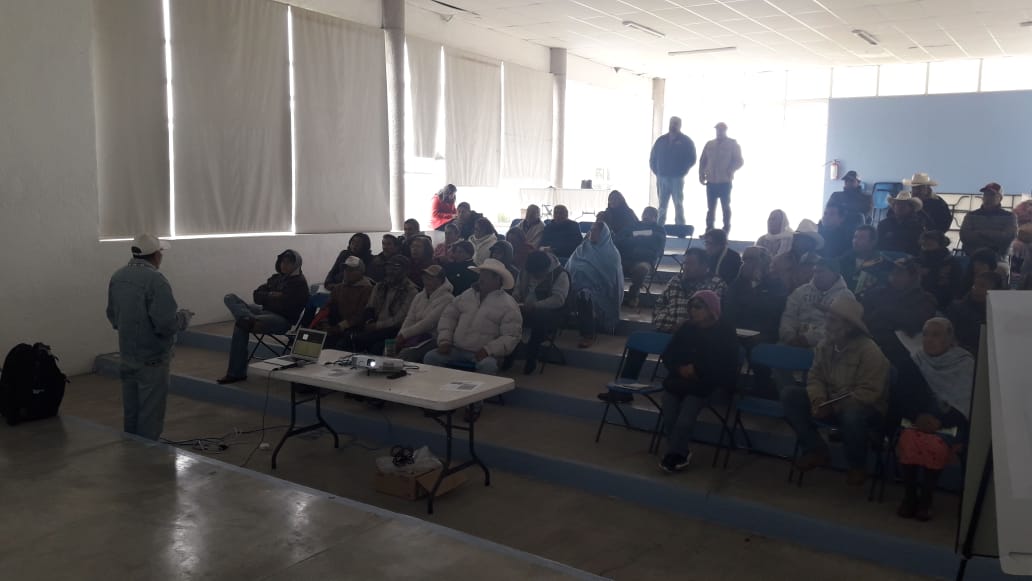La región de Caderezar, Qro. puede recuperar la producción de frijol del Estado con tecnologías sustentables, mejores variedades, capacitación y Asociatividad. Por eso el Dr. Jorge Acosta del INIFAP colaborador del CIMMYT esta capacitado a productores!